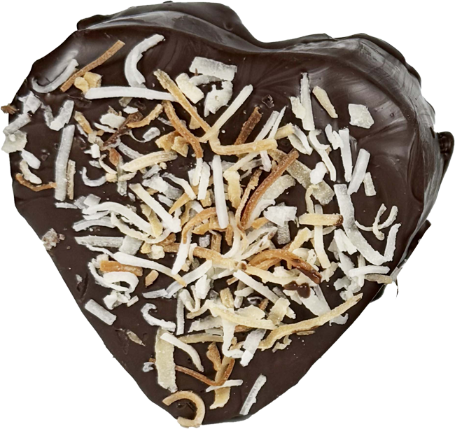 Chocolate Covered Toasted Coconut Marshmallow